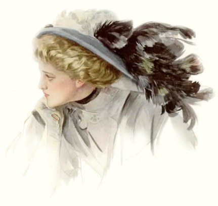 american beauty by harrison fisher