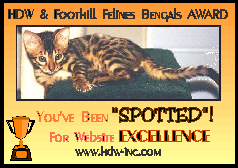 HDW's YOU'VE BEEN SPOTTED For Website
Excellence Award