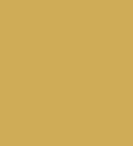 Fancy Lady Rider's Site of Excellence Award