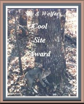 Sky & Wolfer's Cool Site Award
