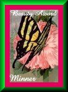 Minner's Beauty Award