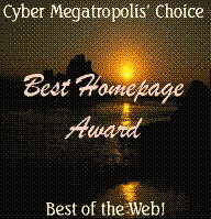 Cyber-Metropolis Best Page Award