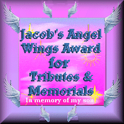 Jacob's Angel Wings Award