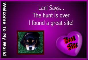 Lani's Best Site Award