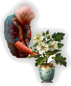 Mother touching potted plant
