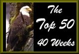 JPS-Web Top 50 for 40 Weeks