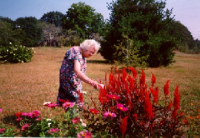 Mother touching flowers