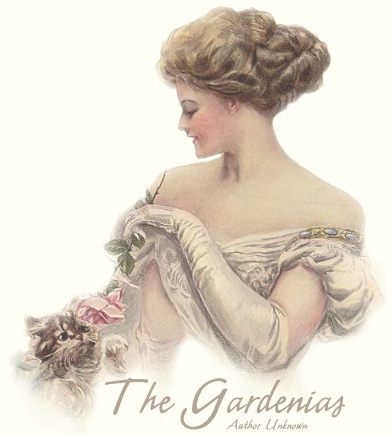 woman with flower harrison fisher 1906