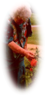 Alzheimer's Disease links & a personal story of one patient & a caregiver daughter, told through poetry, photographs, & a journal kept during a year of caregiving ; 

by Waiting for the Morning author.